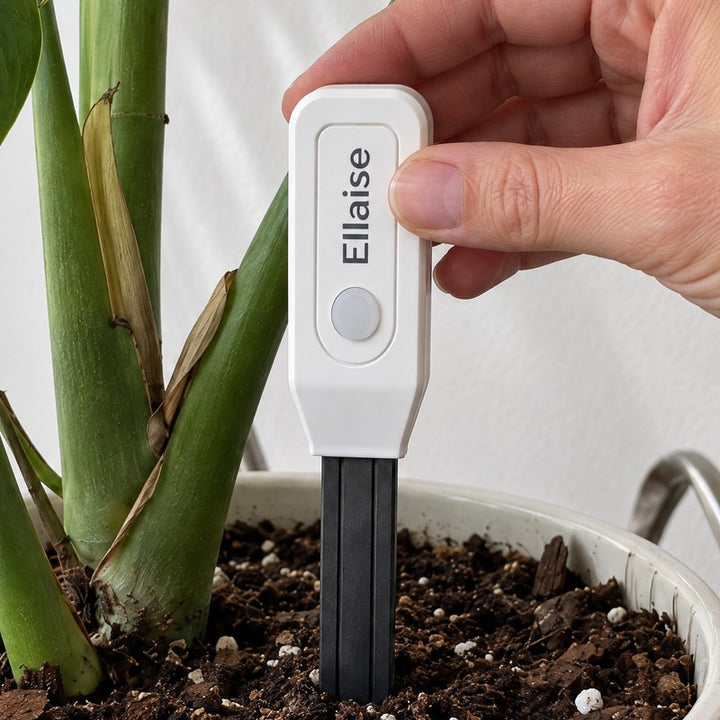 Close view of fingers pushing the black probe into dark potting soil.