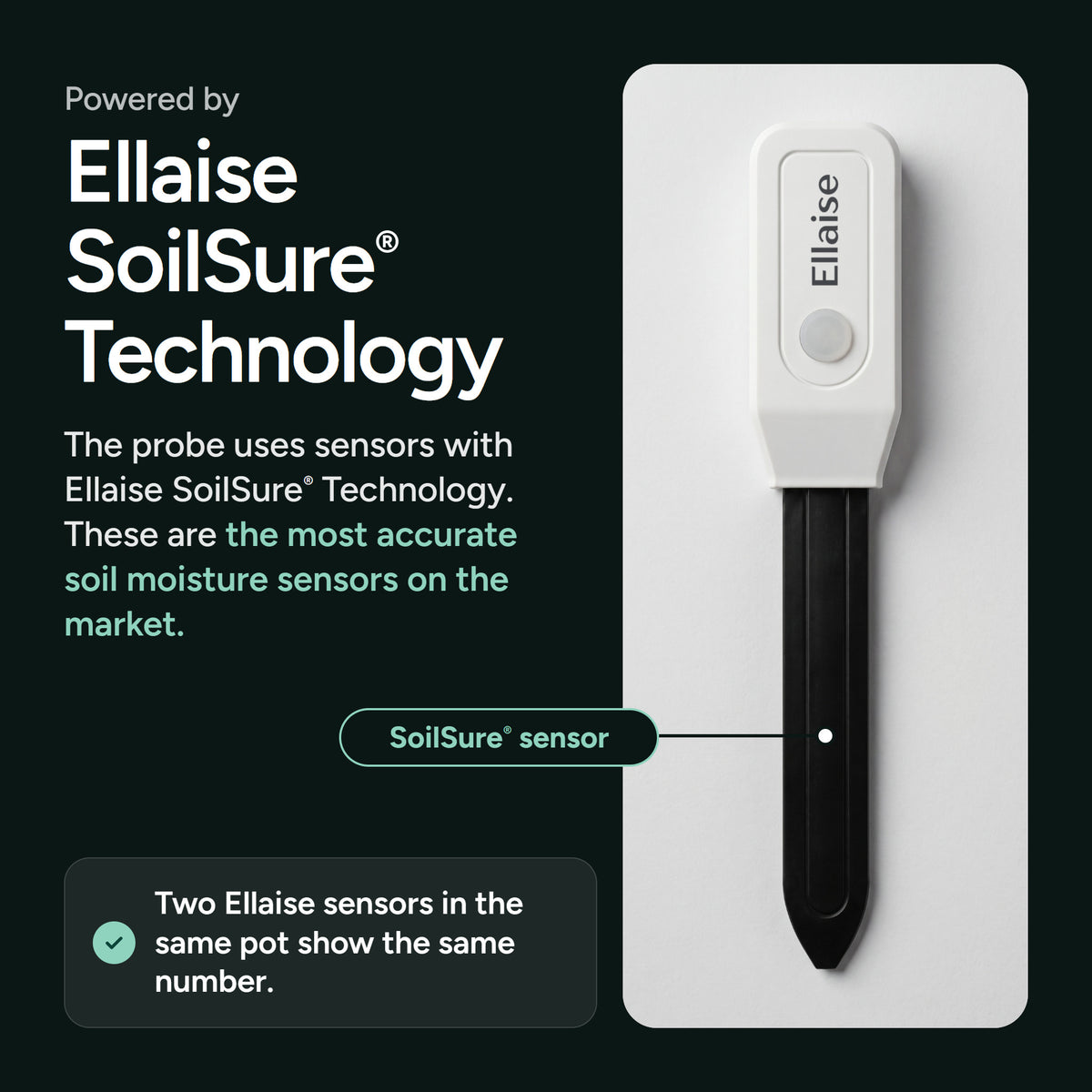 The SoilSure sensor in the probe of Ellaise