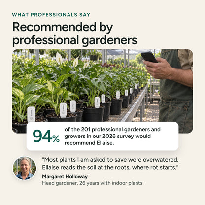 A grower in a nursery with an Ellaise sensor in every pot