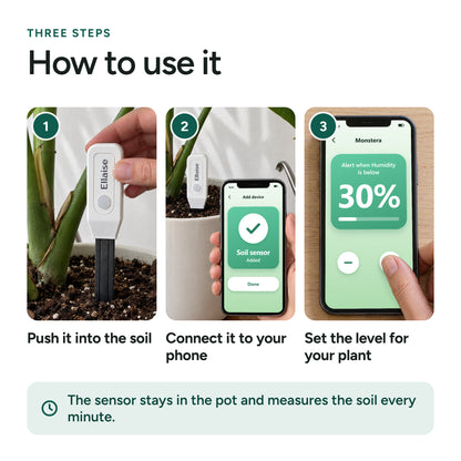 The three steps: push it into the soil, connect it to your phone, set the level