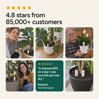 Customer photos of Ellaise in houseplant pots