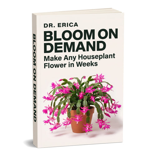 Bloom on Demand: Make Any Houseplant Flower in Weeks, by Dr. Erica. The cover of the book shows a Christmas cactus covered in pink flowers