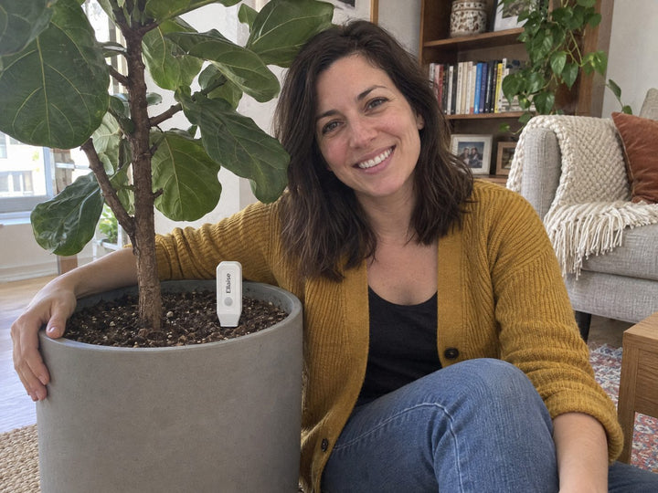 Woman in her 30s next to a tall fiddle leaf fig, Ellaise in the pot. Photo taken by a partner.