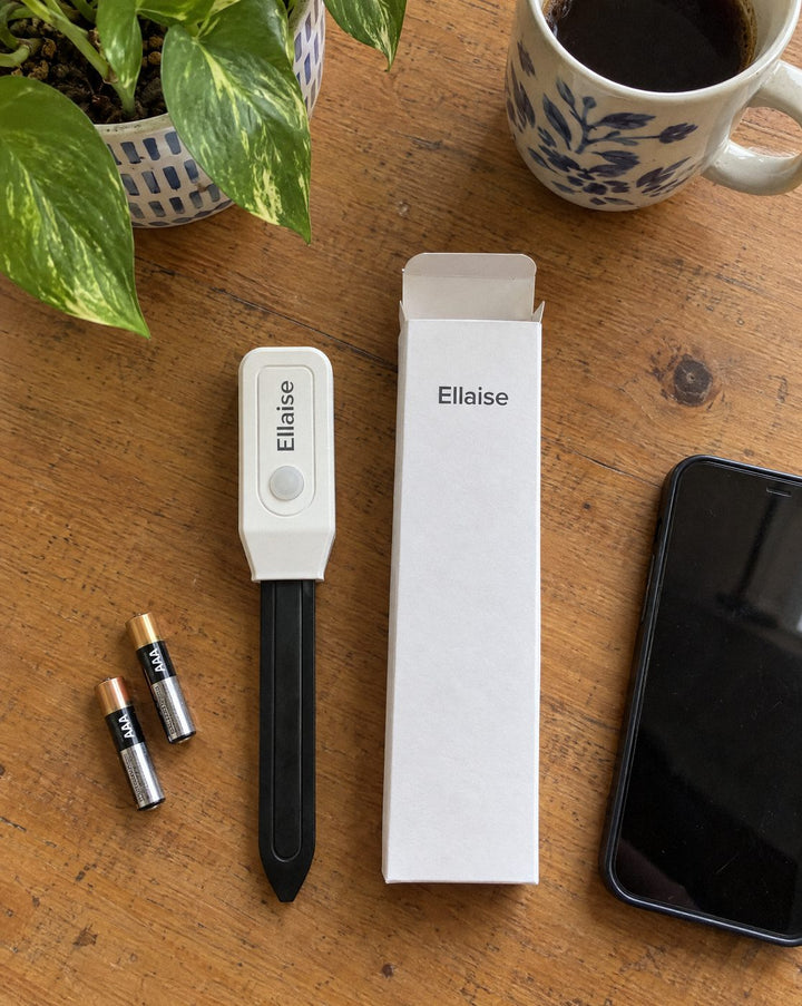 Ellaise next to its open box and a phone on a kitchen table.