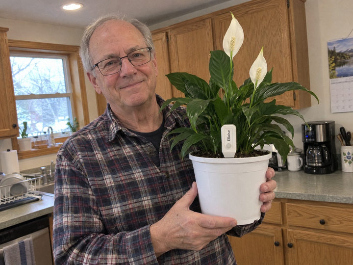 Man in his 60s holding a peace lily in a pot with Ellaise in it, kitchen behind him.